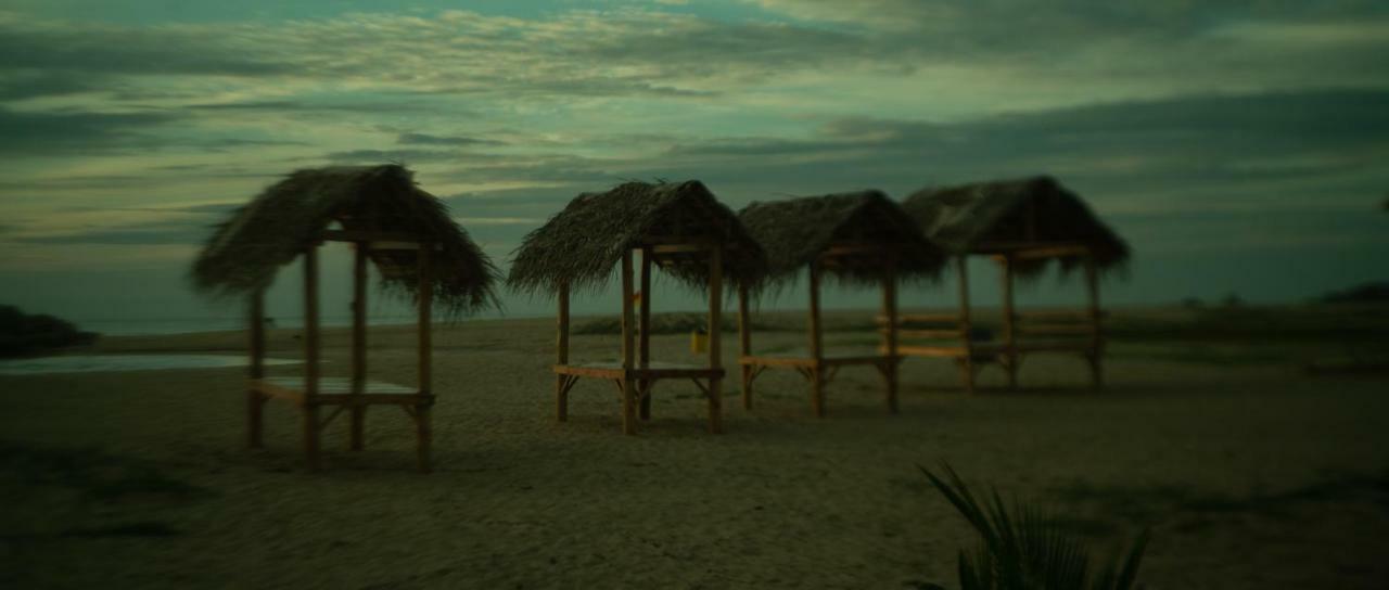 Whisky Point Resort آروغام المظهر الخارجي الصورة